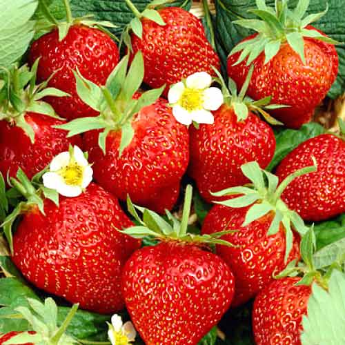 ���� �������. ��������� 16. (��� ������� ������)