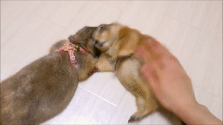 ������� ������ ����!