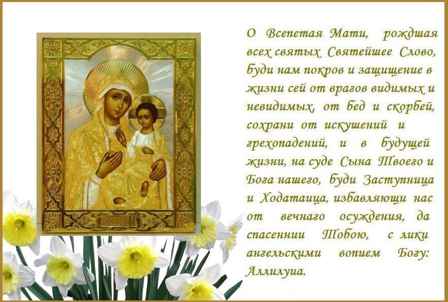 �����  ����,  ���������  ���������� !