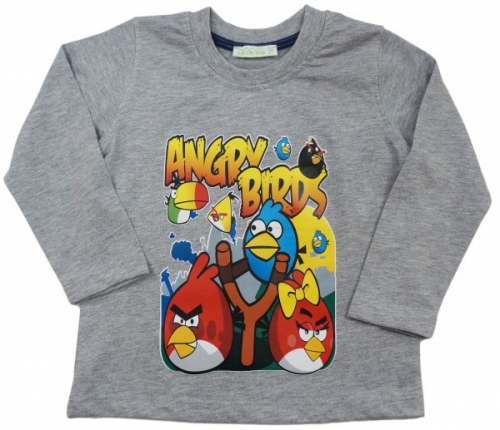 �������� �/��� Angry Birds �� 100 ���