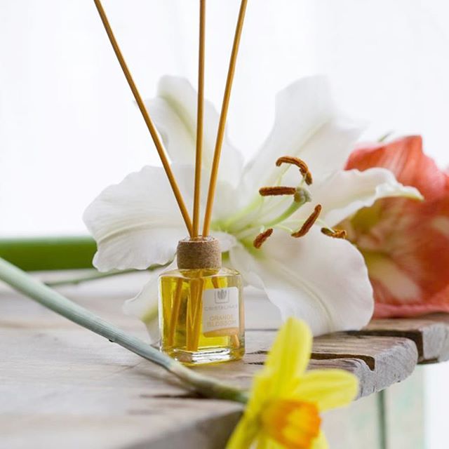 ������� ������� ������ ����-���� �� ���������! ������� ������, ����������� �������, �������� ���������� ���������. � �� ��� ������������� �� ����� ������!