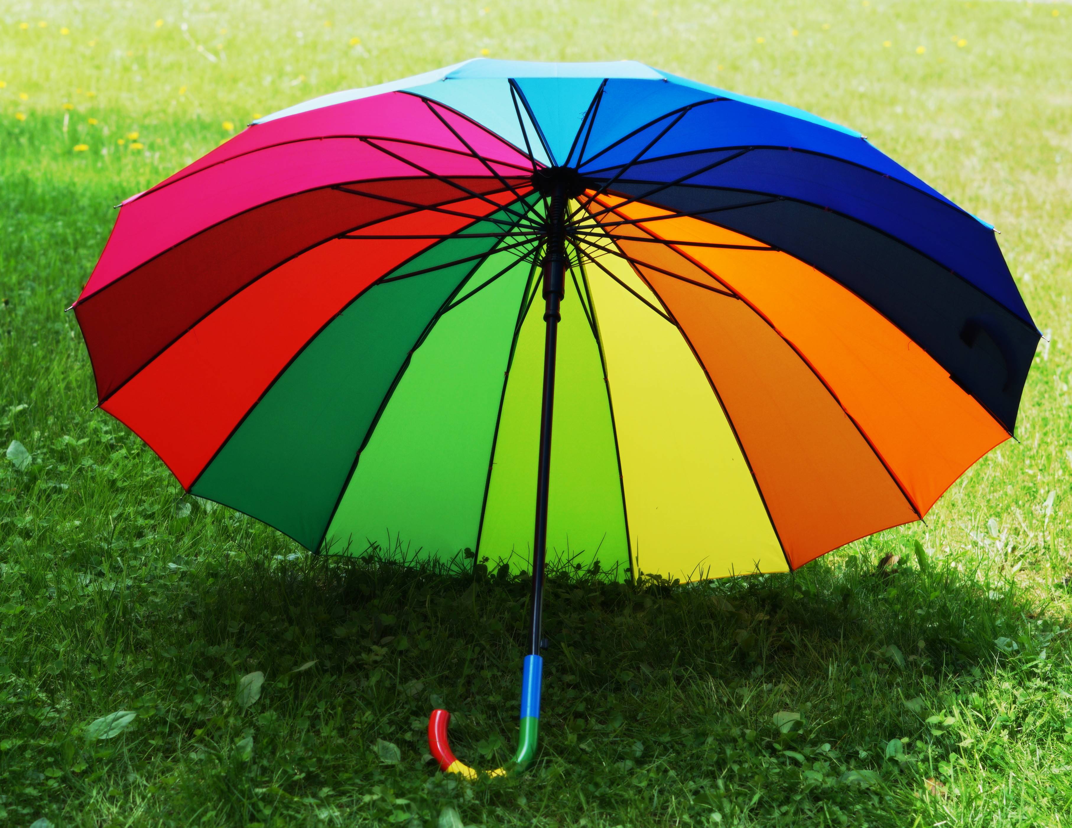 ���� �� 25.07.18. ����������, ���� �� 150 ������! ����� ����� ��������� �������� �� ������ �����, �������, �������, ������� (����������).������, �������, �����������, ���� ��������. �������� ���������, �������!!! ������� ��������!!!����� ����� ������!