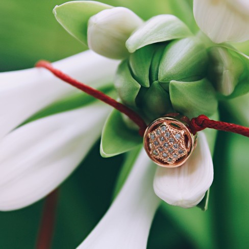 �������� ������� �� ������� ����������� ���� - ��� ����������! �������� ������� ���� � �������!