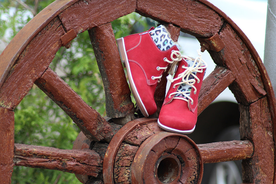 ��� ����������� ����� ���� ������� ������ �� ����������) ��������� � �������!!!