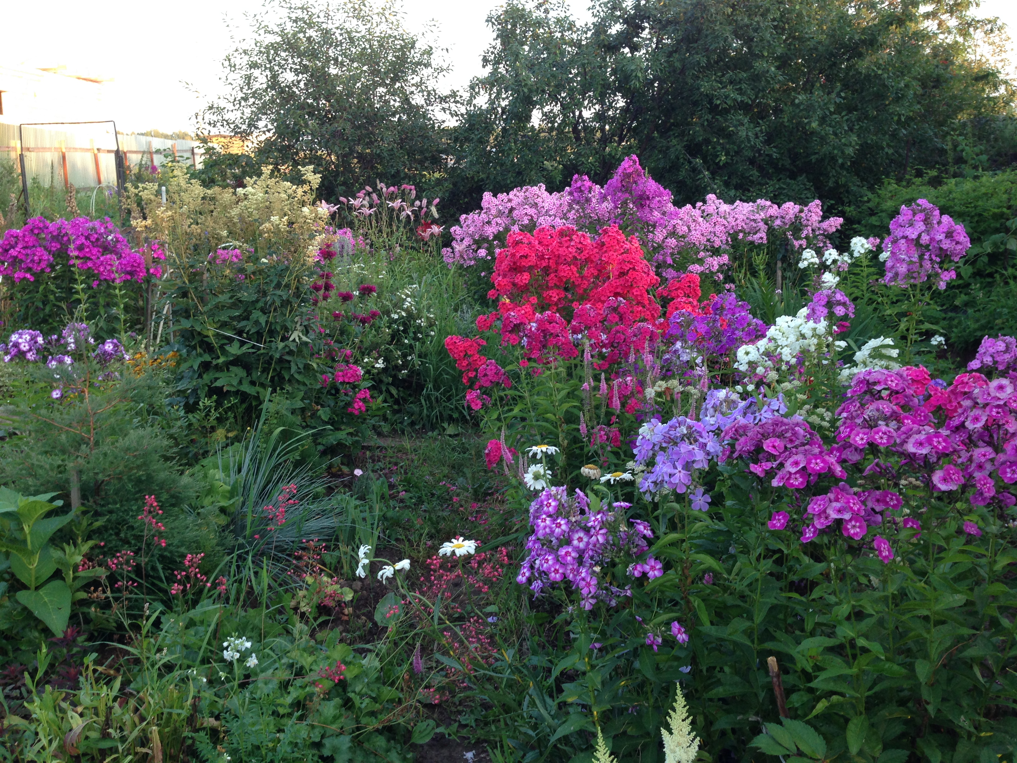 � �������! ���� ������� �� 5 �������. ������������ �������� ��� ��������� ������ ���� �� �������� ��������� ������������� ������� Savgarden. ���������� ������������: �����, ������, �����. ���� �� 50�