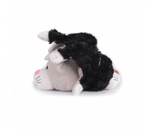 ��� ������ ������� -����������?) ��� �����, ������������, ��������) 1� �������