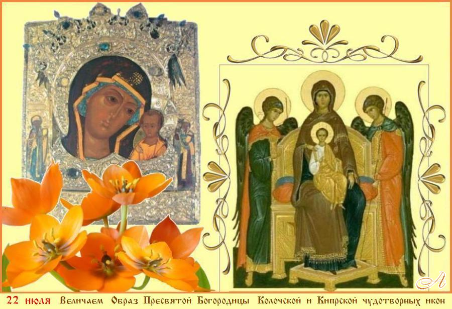 �  ����������  ���� ! ���  ������  ���� ! ������  �  ��������������  ���������  ���������� !