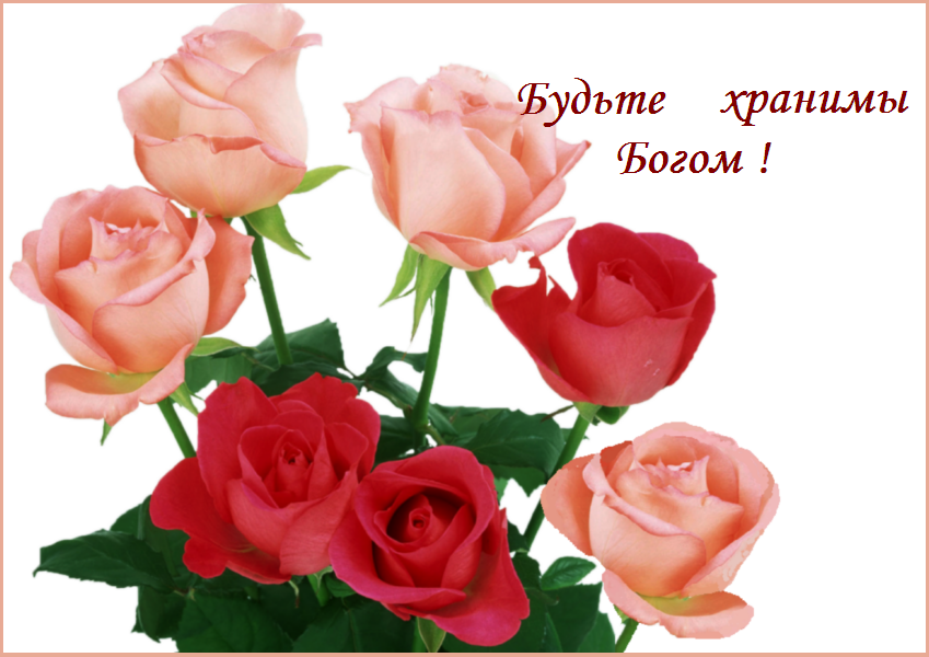 ��������������� ������ !