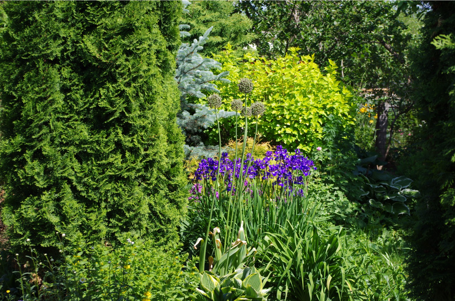 ���� �������. 28.06 ������ ��������! �����, ������������, ����������, ����������. ����� ����� �� ������ ������!!!