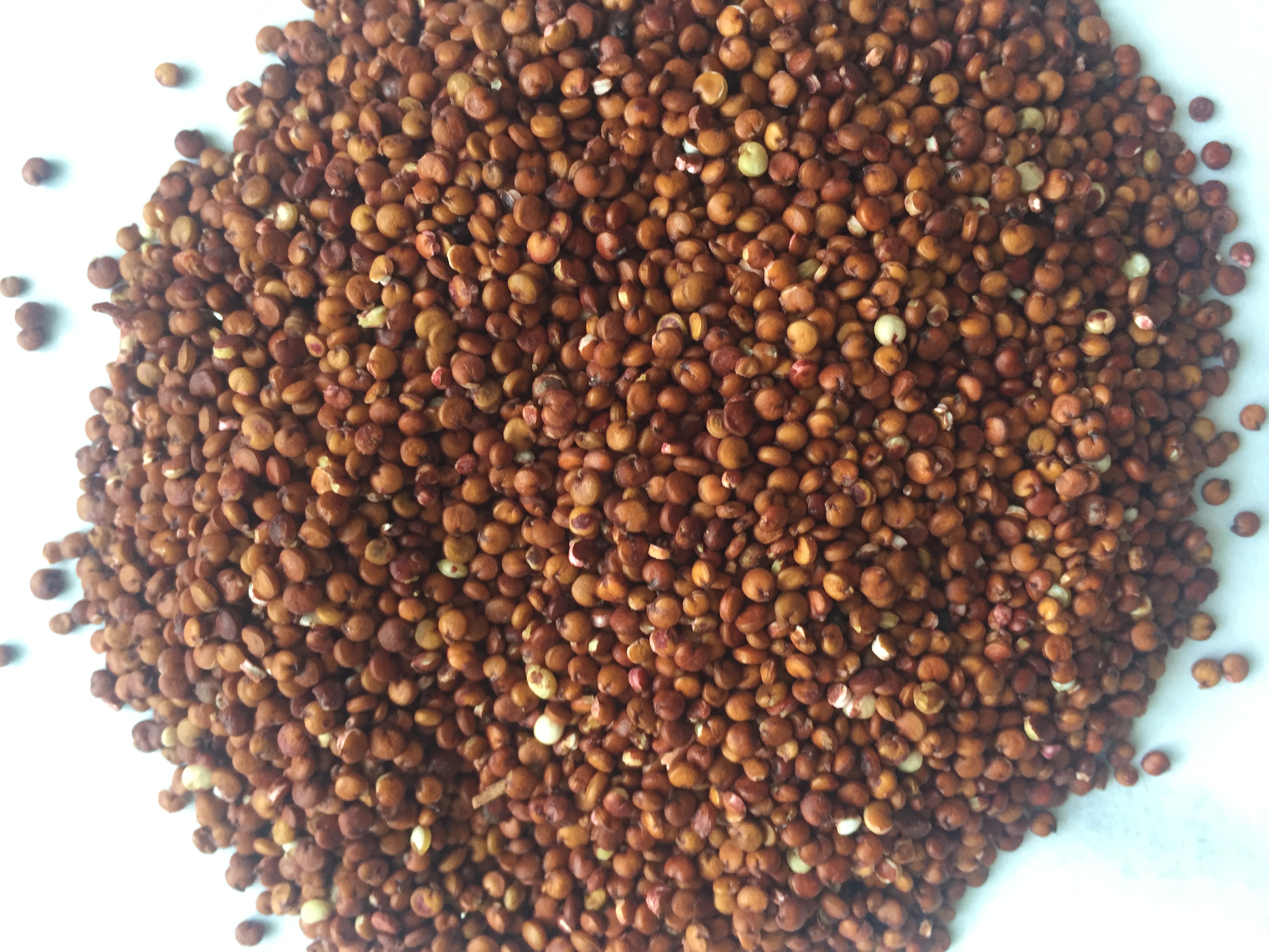 ������� ����� �� 320 ���