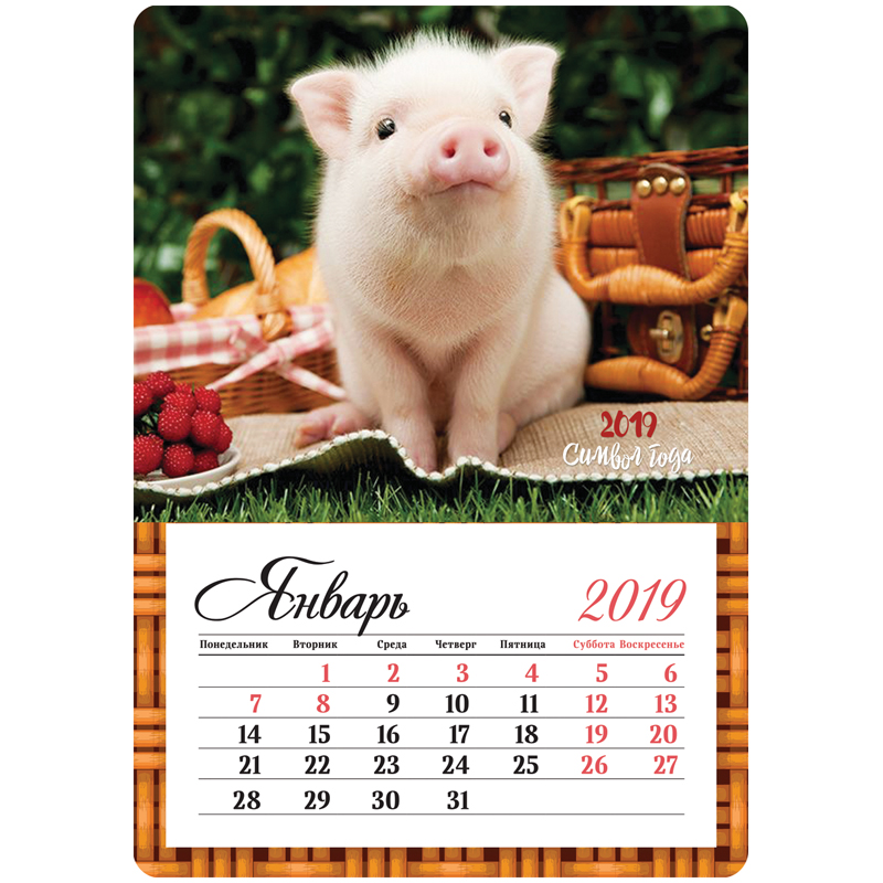 ���� �������. ��������� �� 2019 ���. ����������� ������������ � ���, ����������� ������� � �� ��� �������, ��������. 1/18