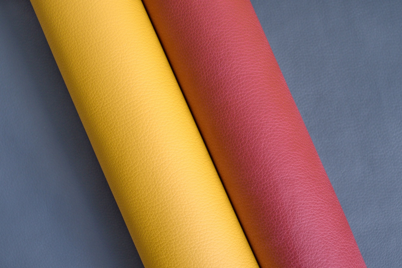 ���� ����� ���� ����. ����� ��������� � ��� ����. �����������