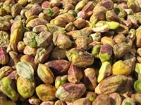 �������� ������ ���� ���������!!!