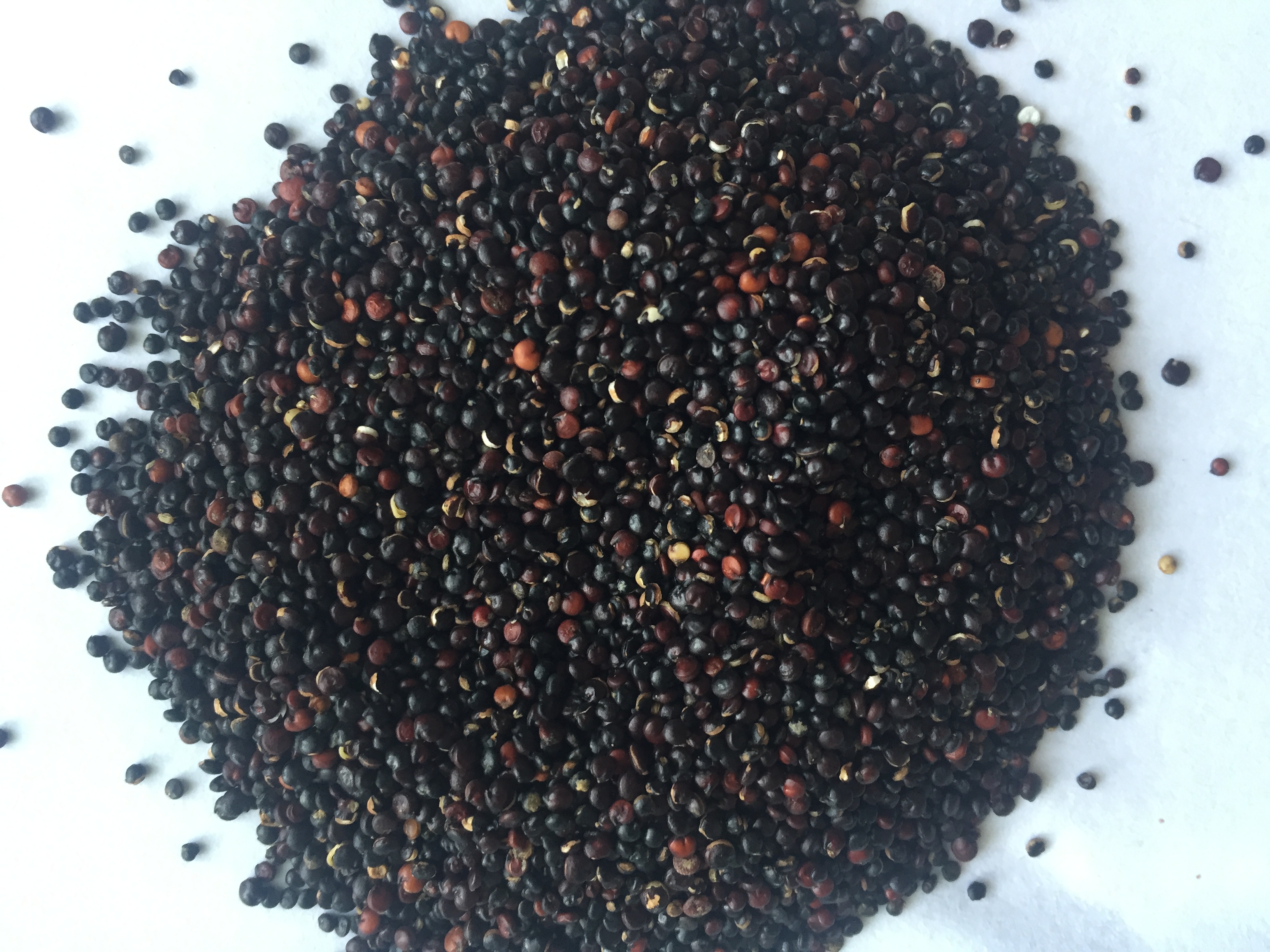 ����� ����� ����� �����???