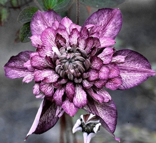 ���� �� 12.08. �������� ��������� ��� �� ����� 2019 ����