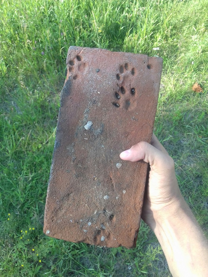 ����� ������ ������ �� ����� ��������� ������. �������, ��������, ��� 100 � �� ��� ��������� �������� �����.