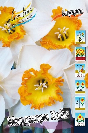 �������� ������������� �������� ���������� ��������� � ���������