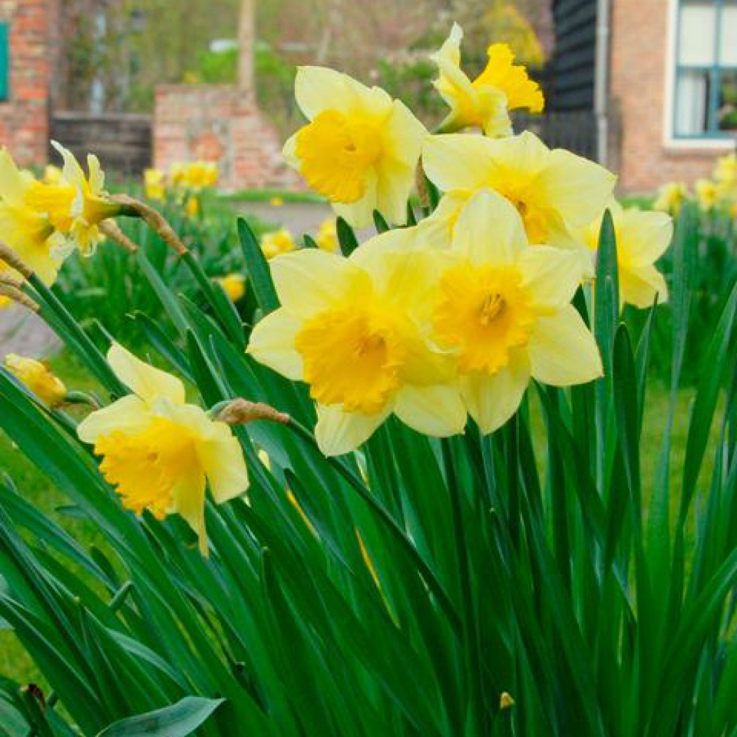 ����� ��� ��� ����� ����� ��������!!!!!! ���� �� 16.08.���������� �������� ����� 2018. �����������:�������, ��������, ��������,�������, ��������,�������.