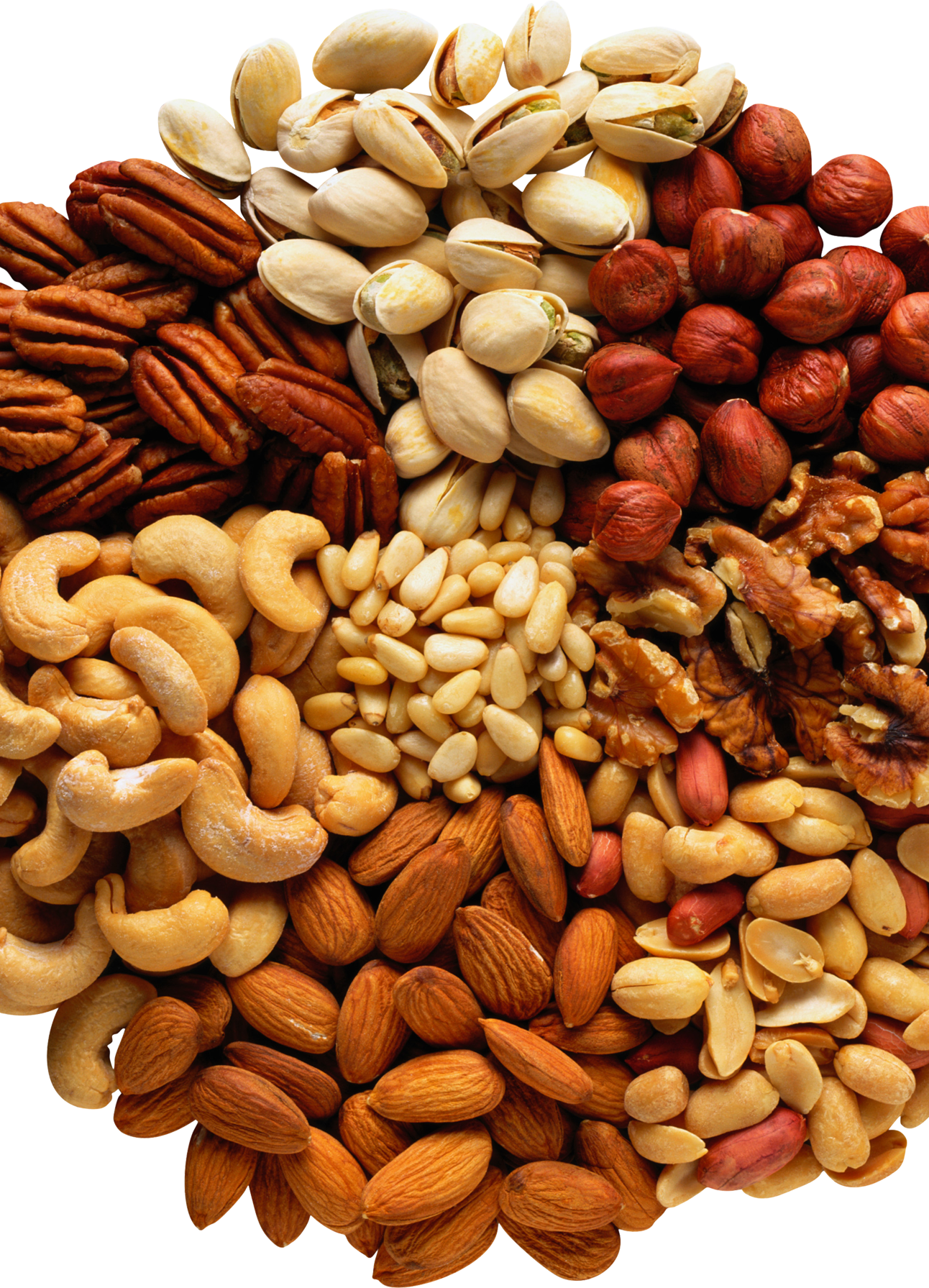 ���� �� 19.08.2018. �����, ����������, ��������. 34 �����. ������� 15%