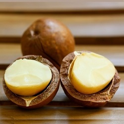 ��������� - ������ ����� ������! ����� � ����������!  ����� �����������! ������ ������� ���������! ������� 22 ��������.