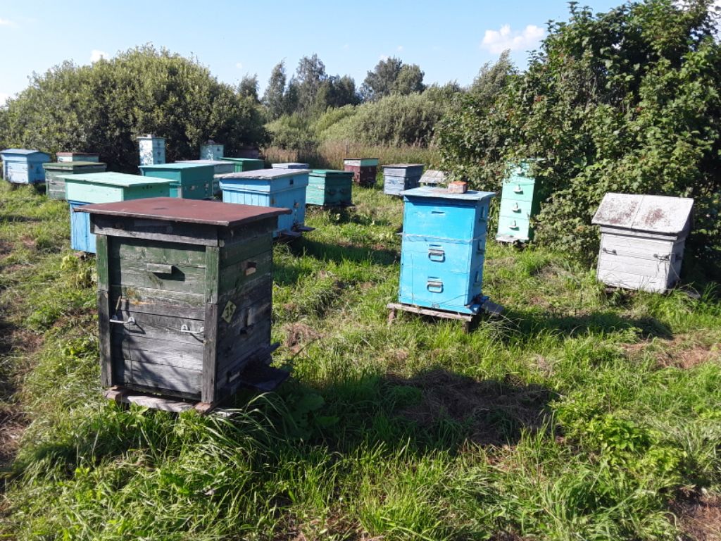 ��� �� ����������� ������ ������������� �������