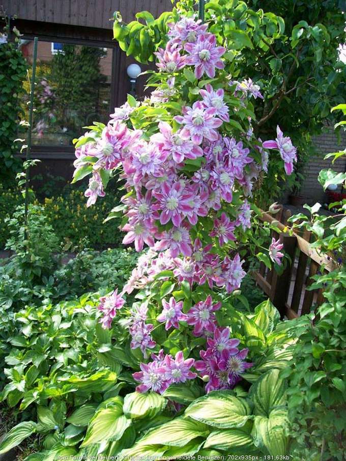 �������� ��������� �� ����� 2019