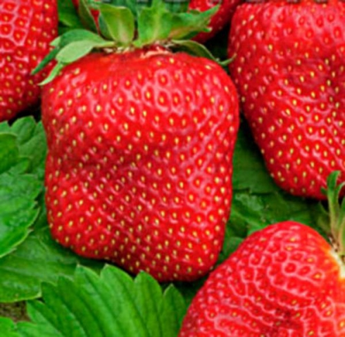 ���� �������. ��������� � ������ 17 (�����).