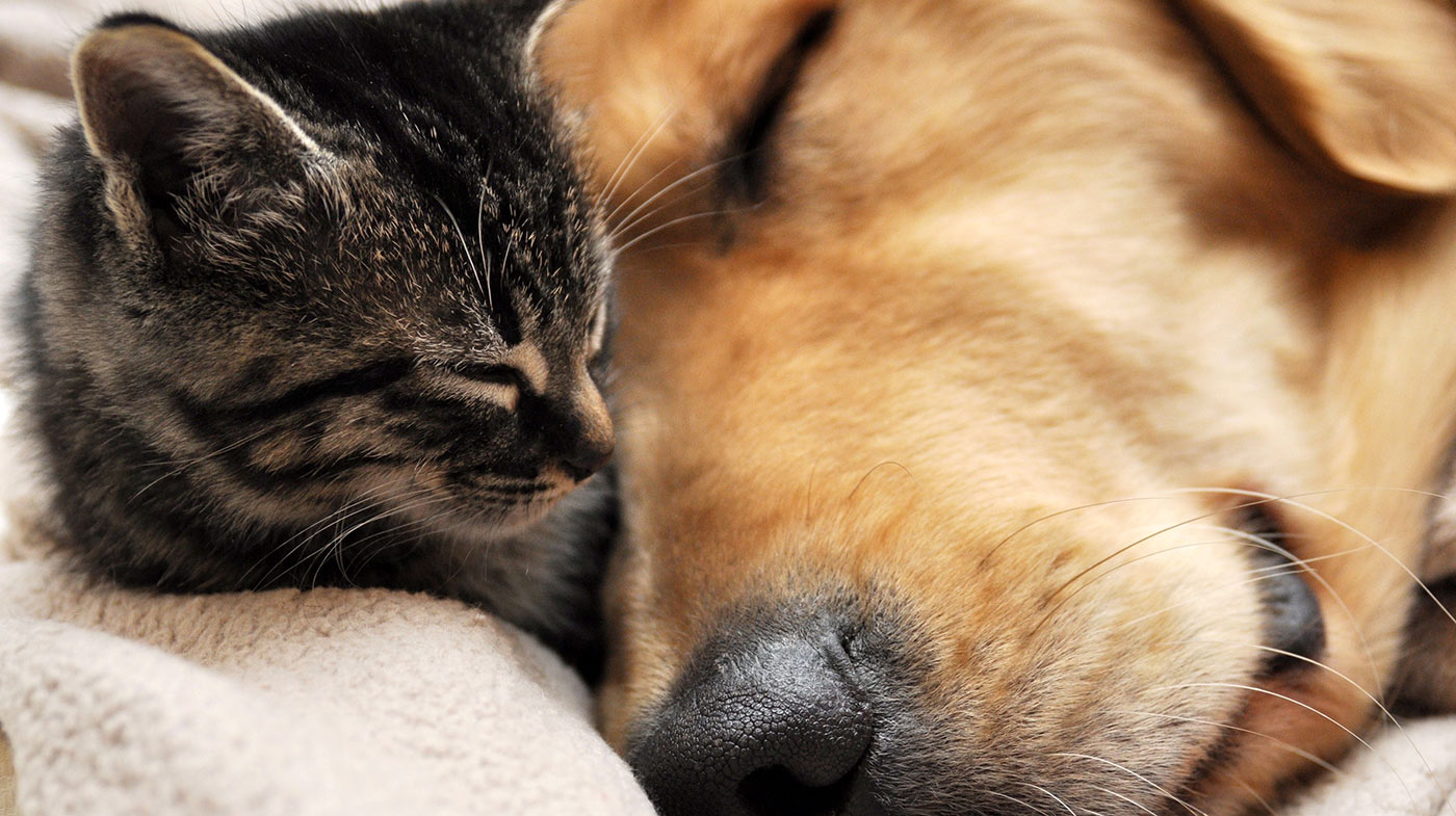 ���� 5 ���� �� 24.08. ��� ��� ����� � ����� �����, ���������, �������, ������, �������, ��������������� ������, ��������, �������� ����� � ������ Ti*tB*it., I*P*T*S/Be*ez*tee*s � ������ ������. ���� 18.