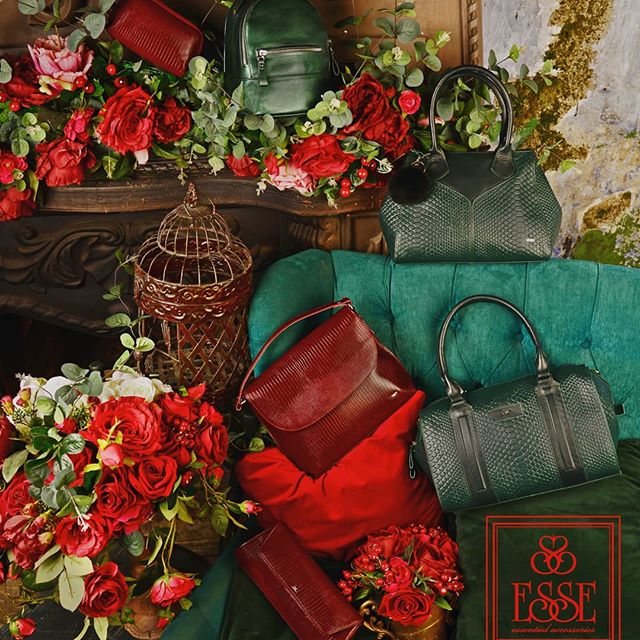 ���������� ����������� ����� ��������� ����� � �����������! �����-���� 2018/19