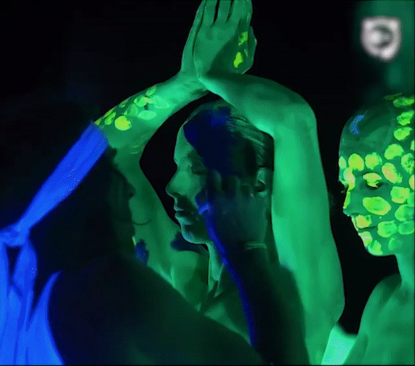 ������ � ��������