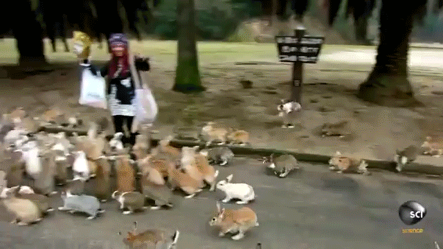 ������ ������ ������