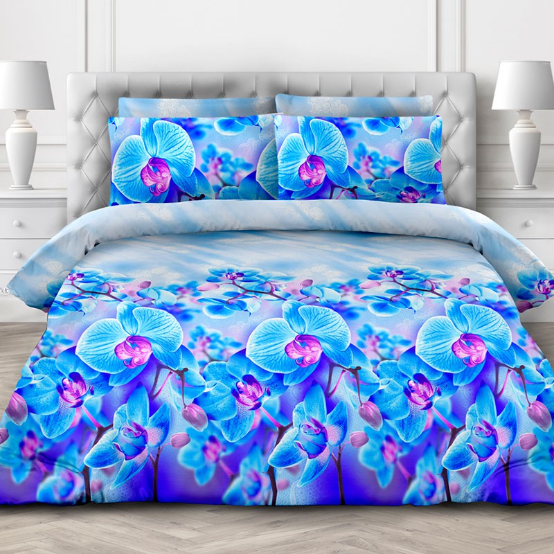 ������� 08.09. ������� ����� ������ ��� ���� � ��� ���� �� ����*����-28. ������ �����-���������� ���.