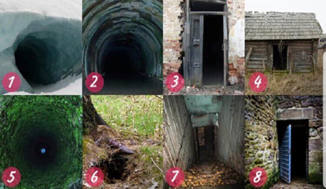 ����� ����: 