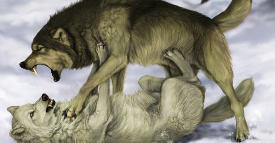 ������ ������ ��� ���� ������...