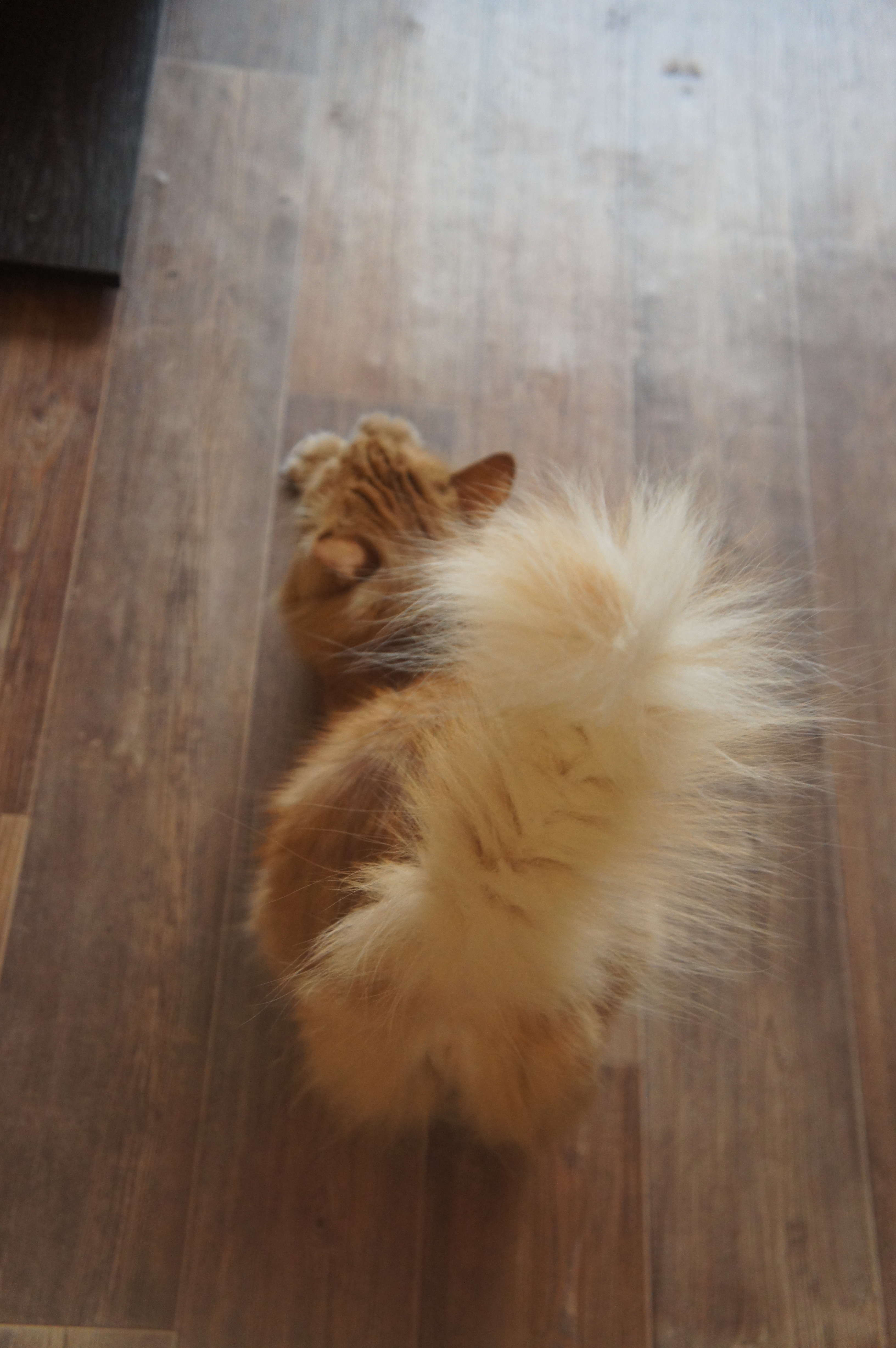 �����-������ 29.08.18 ��� ����� � ������