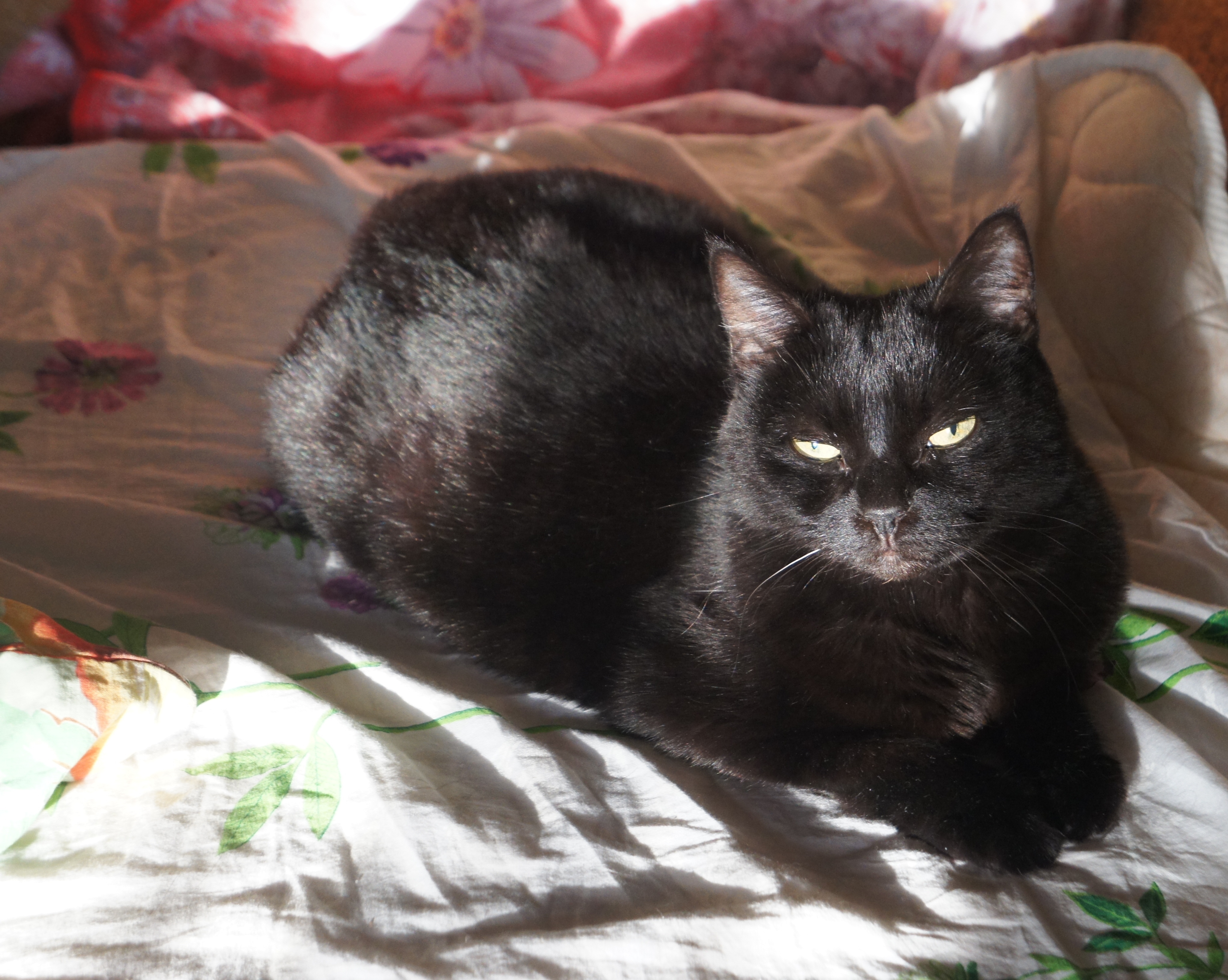 ����� 29.08.18 (����� 13 ���)