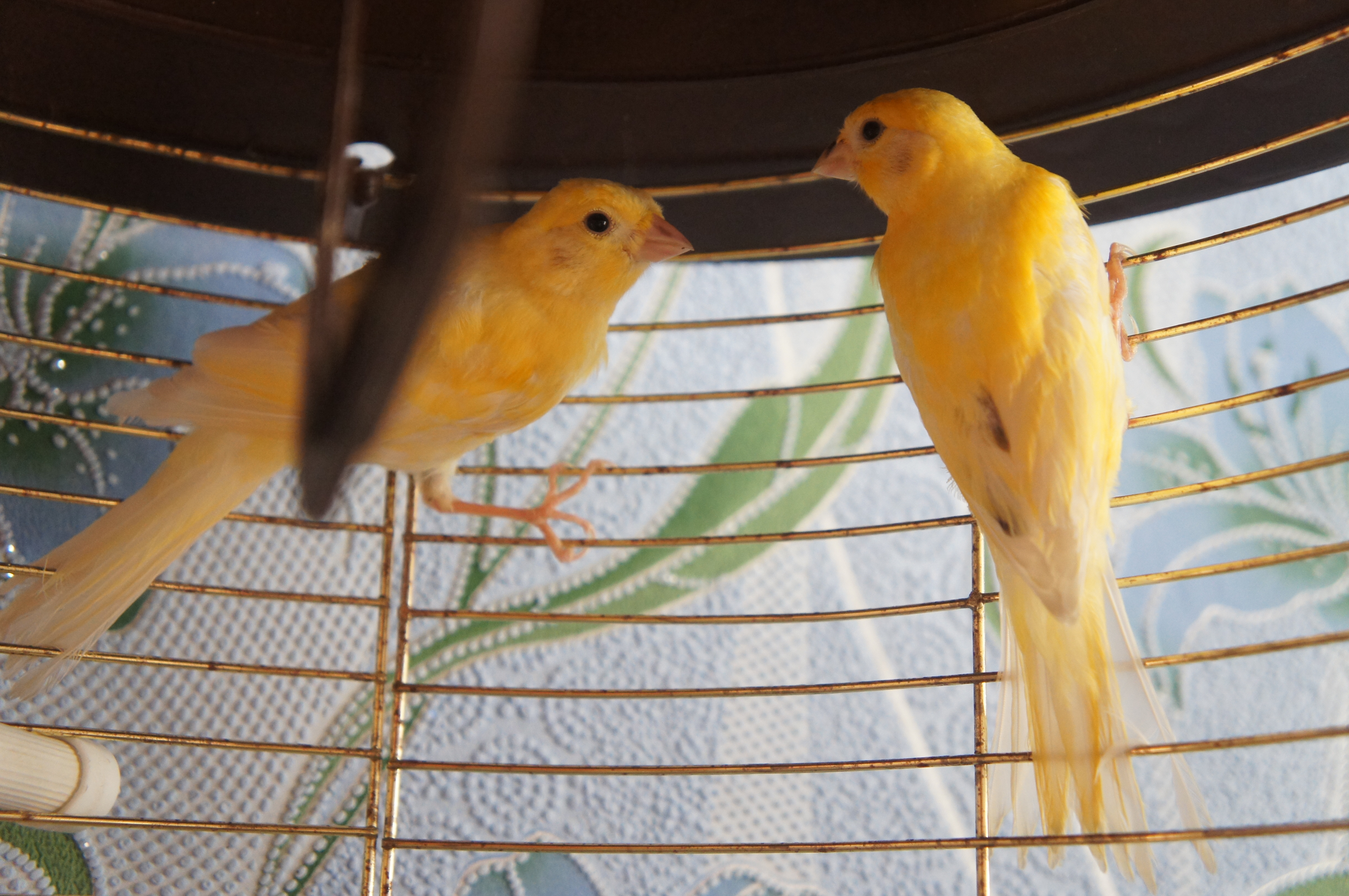 ���������