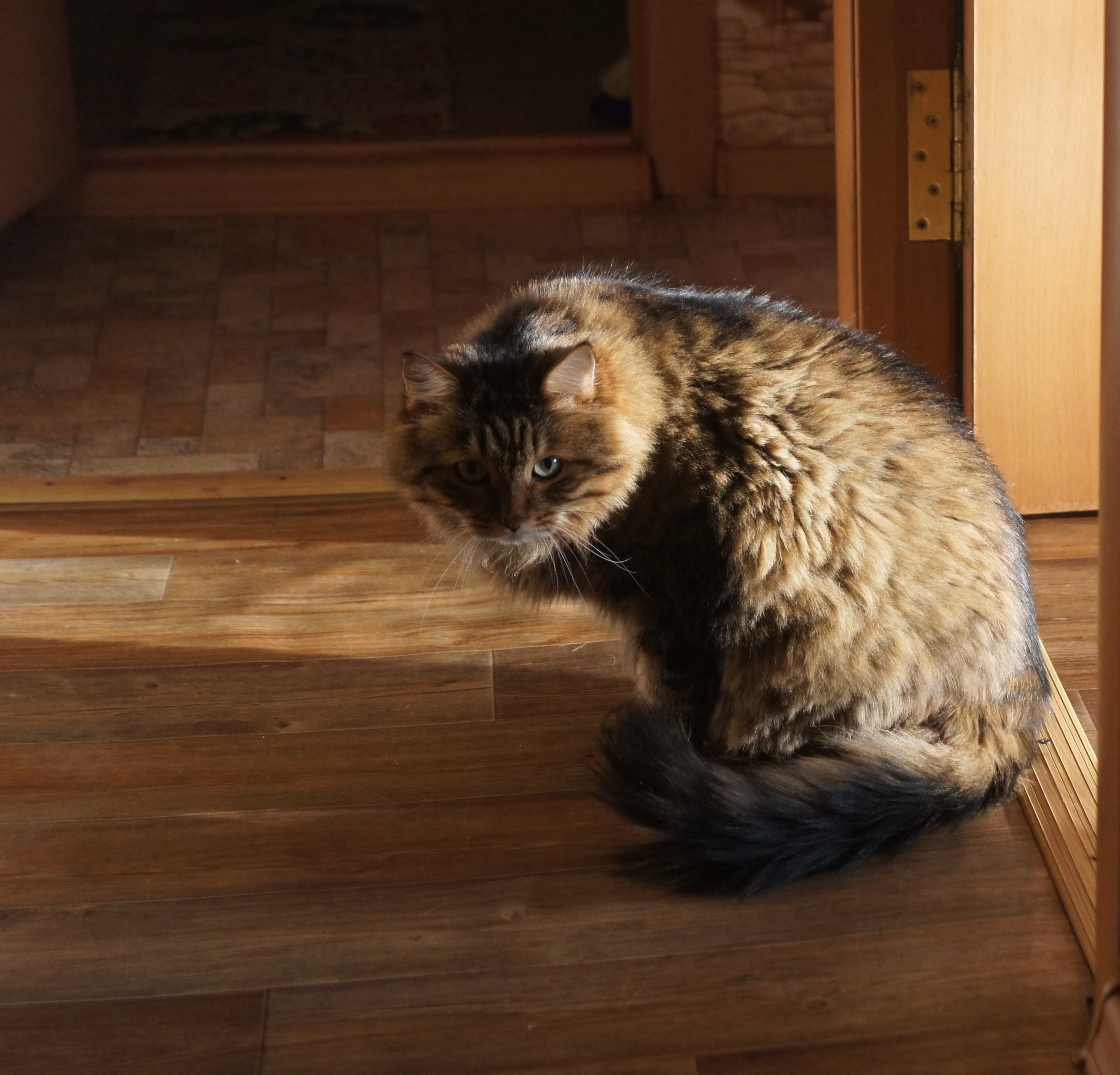 ���� ���� 29.08.18