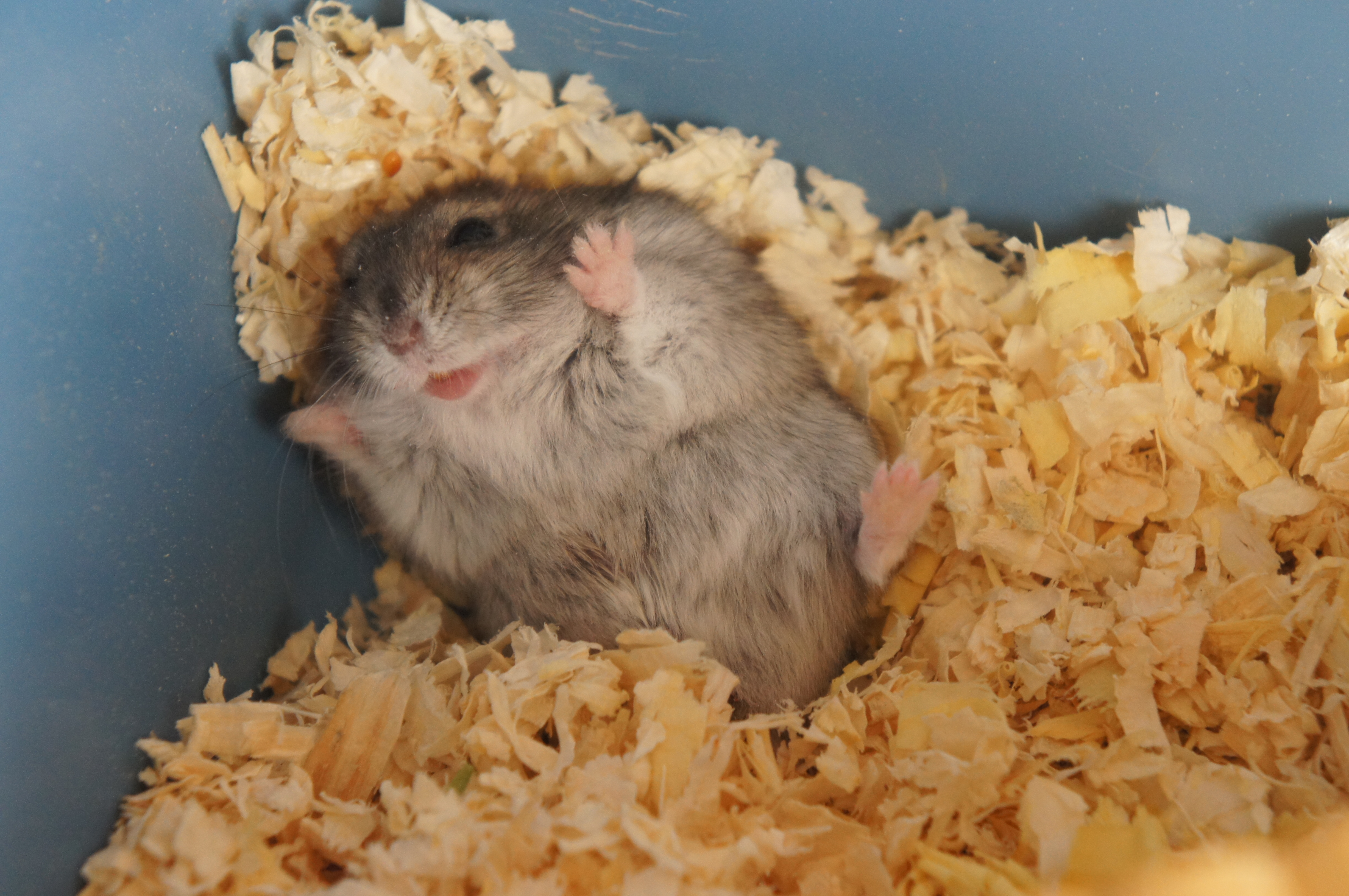 ������ 29.08.18 � �������� ����