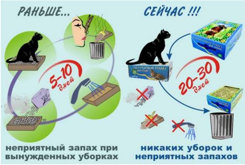 ������� ��� - ��� ������! ����������� ������� ������. ������ �� ���� ���� �����! ������� �������!