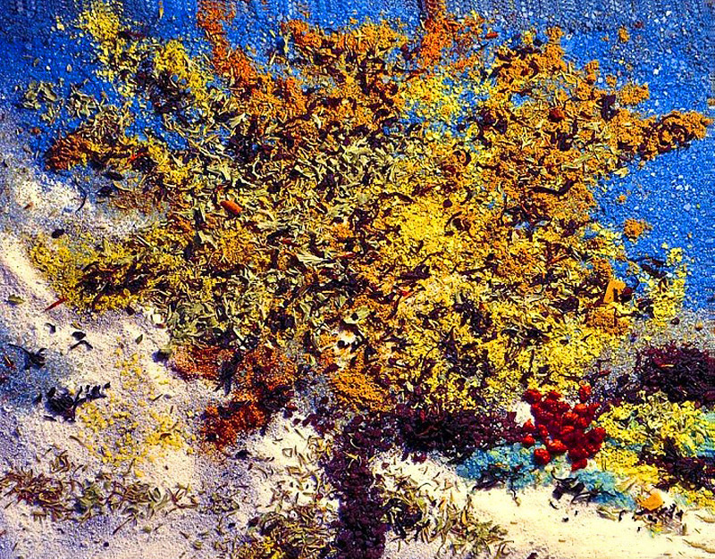 ����������. �������� �� ��������� ������ - ��������������� - ������ 50%! ������ ������ � ������ ��� ���!