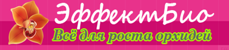 �ӣ ��� �������! � �� ������ - ���������, �����, �����, ��������, ���. ����� ������� �� ��������� ����� - ������������� ����� � ���� ��������. �������! 