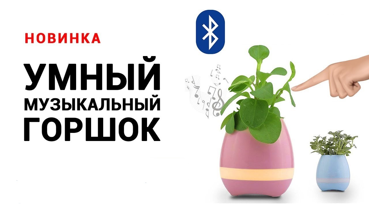 ����� ����������� ��������� ������-������� Smart Music Flower. �������� ����! 