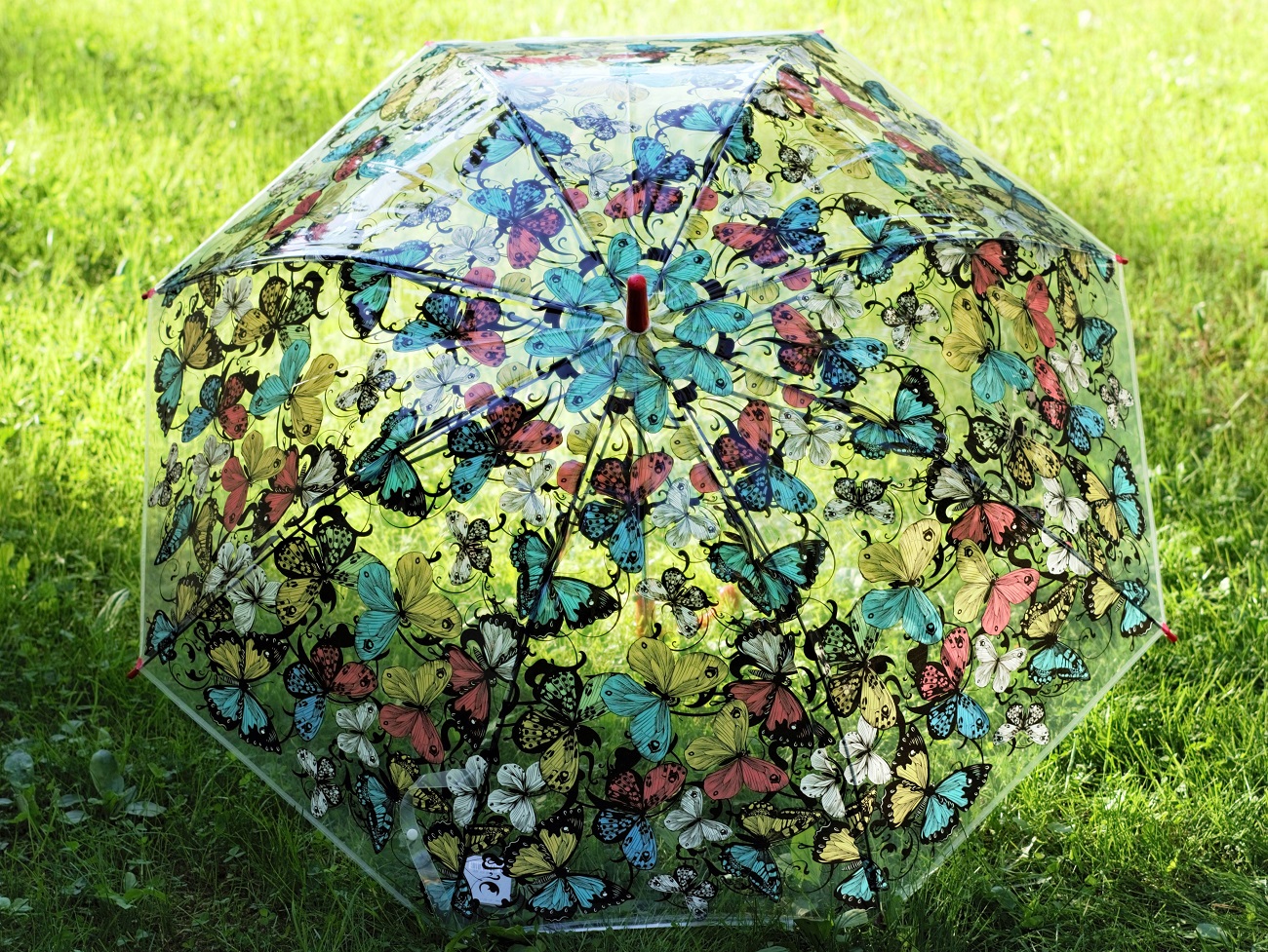 ���� �� 12.09.18. ����������, ���� �� 150 ������! ����� ����� ��������� �������� �� ������ �����, �������, �������, ������� (����������).������, �������, �����������, ���� ��������. �������� ���������, �������!!! ������� ��������!!!����� ����� ������!