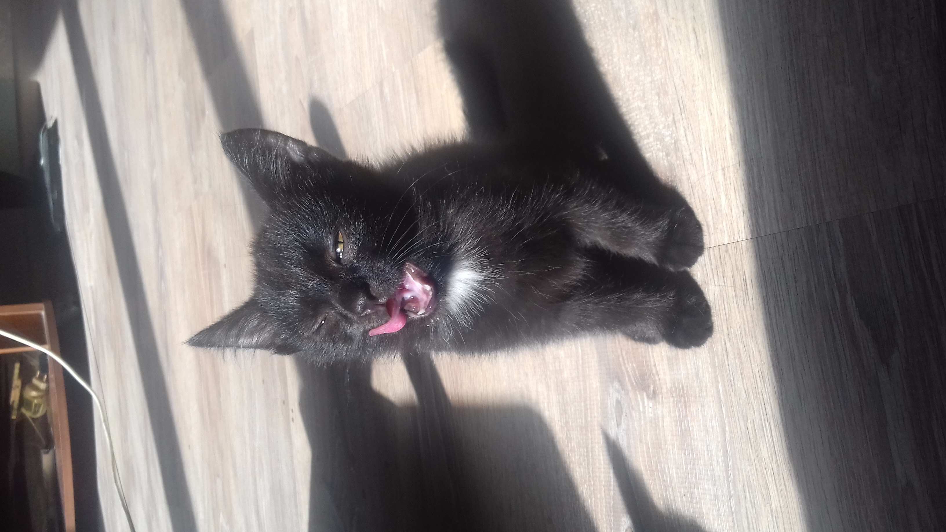 �������� �������(:   ������ � ������ ����!