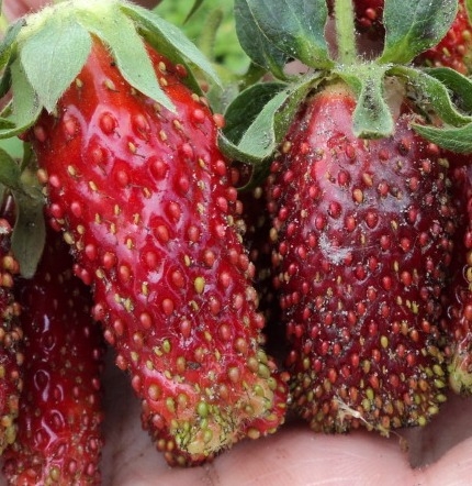 ���������� ������� ���������, � ��� ����� ���������� ������� �� 30 ������