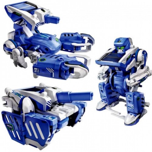 ���� �������. ����������� ������������, ����������������� ������. ������� ������ � �������� �����������. ������ 0+ � ������