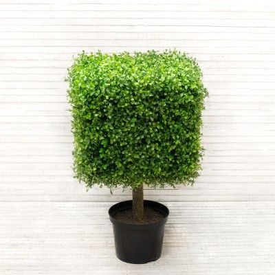 �������� ����� �������!