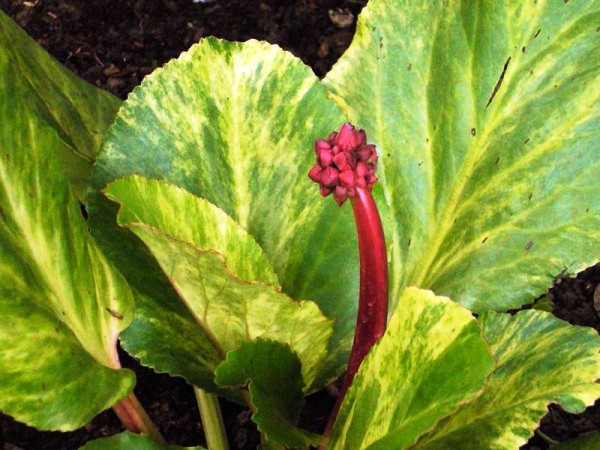 �������� �� ���������� � ������ ������ �����*������ ������ �������!