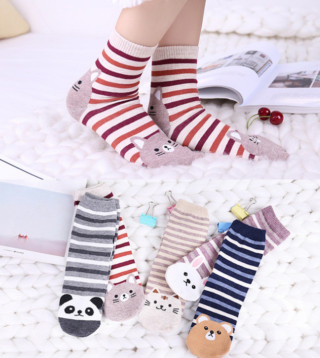 �������� ����� �����������, �������, ����� ������������)